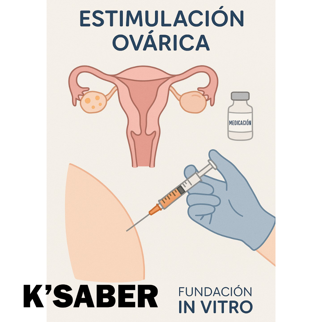 IA aplicada a la fecundación in vitro (FIV)
